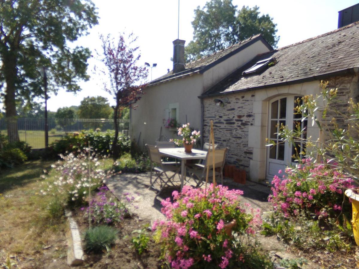 Gite De Bellerive Sainte-Gemme-sur-Loire 外观 照片
